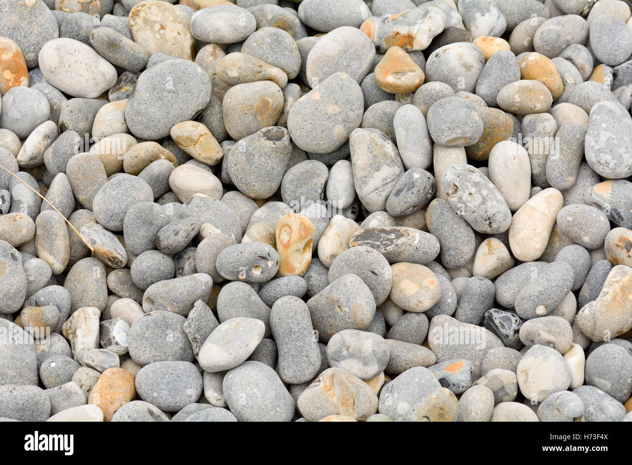 Stones on a beach background Stock Photo - Alamy