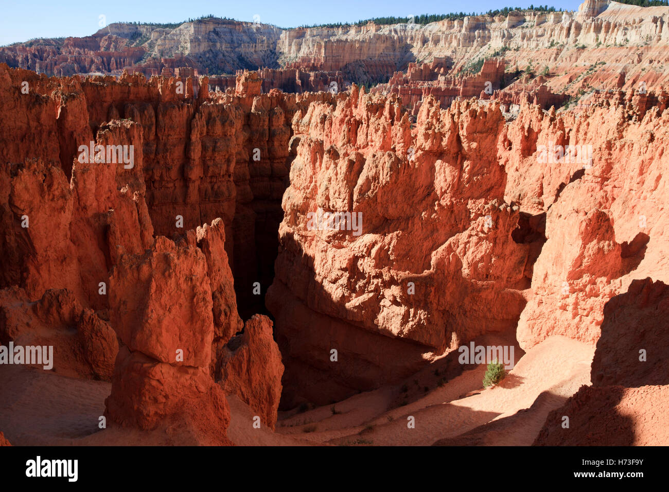 Hoodoo rock formations in Bryce Canyon National Park, Utah, USA Stock ...