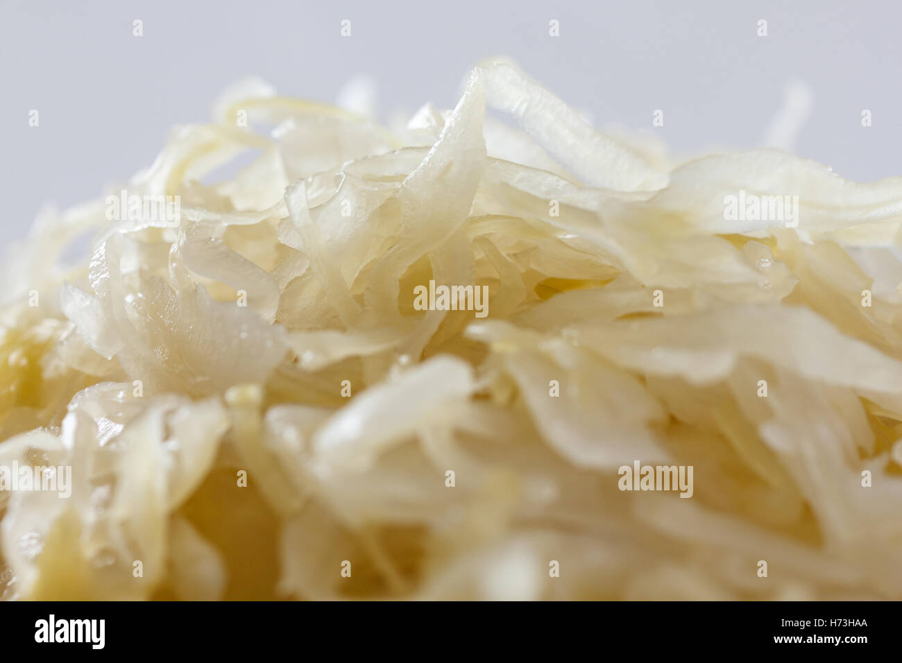 Macro of sour cabbage with lite background Stock Photo