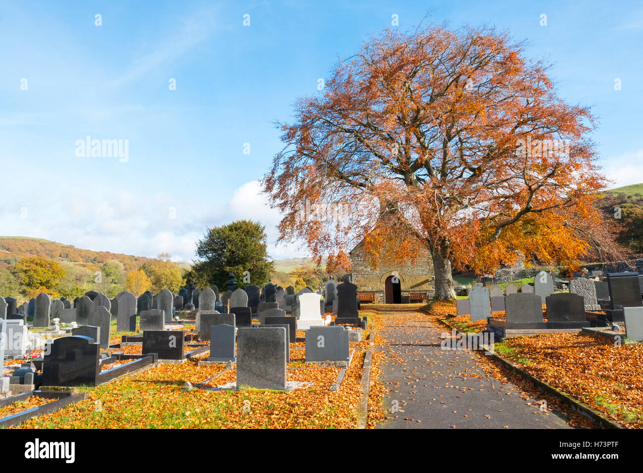 Ystrad Fflur / Strata Florida Churchyard, Pontrhydfendigaid, Ceredigion, Wales. 2 November 2016. Bright  colours on a sunny Autumn day. Credit:  Alan Hale/Alamy Live News Stock Photo