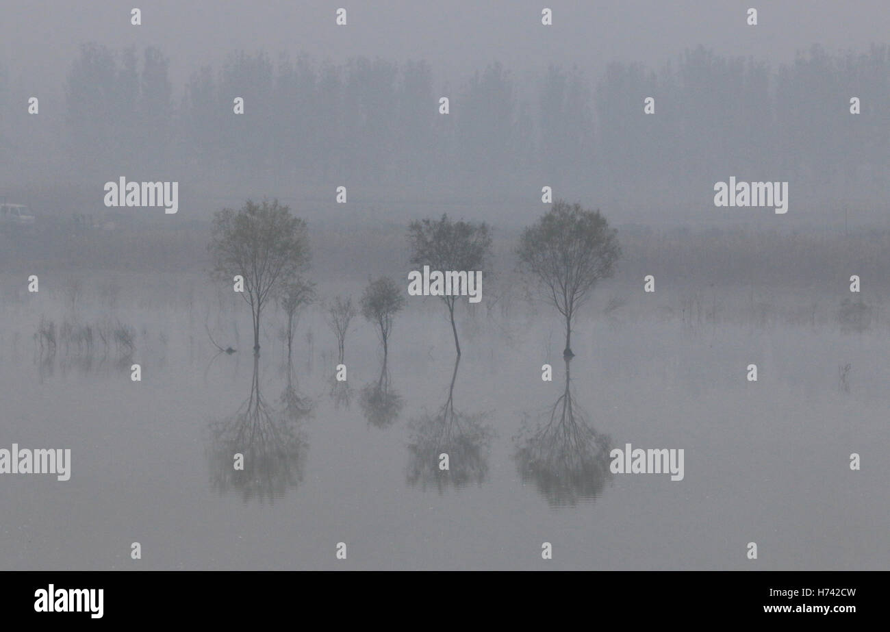 Jining. 3rd Nov, 2016. Photo taken on Nov. 3, 2016 shows the fog-shrouded village of Shangzhuang in Zoucheng, east China's Shandong Province. Credit:  Wang Qisheng/Xinhua/Alamy Live News Stock Photo