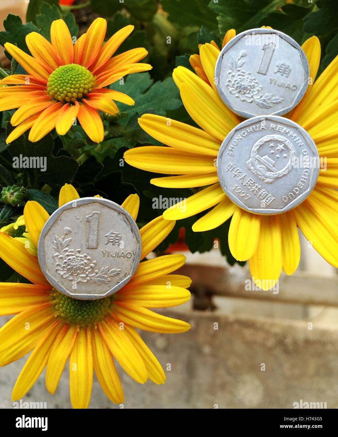 Coins out of circulation hi-res stock photography and images - Alamy