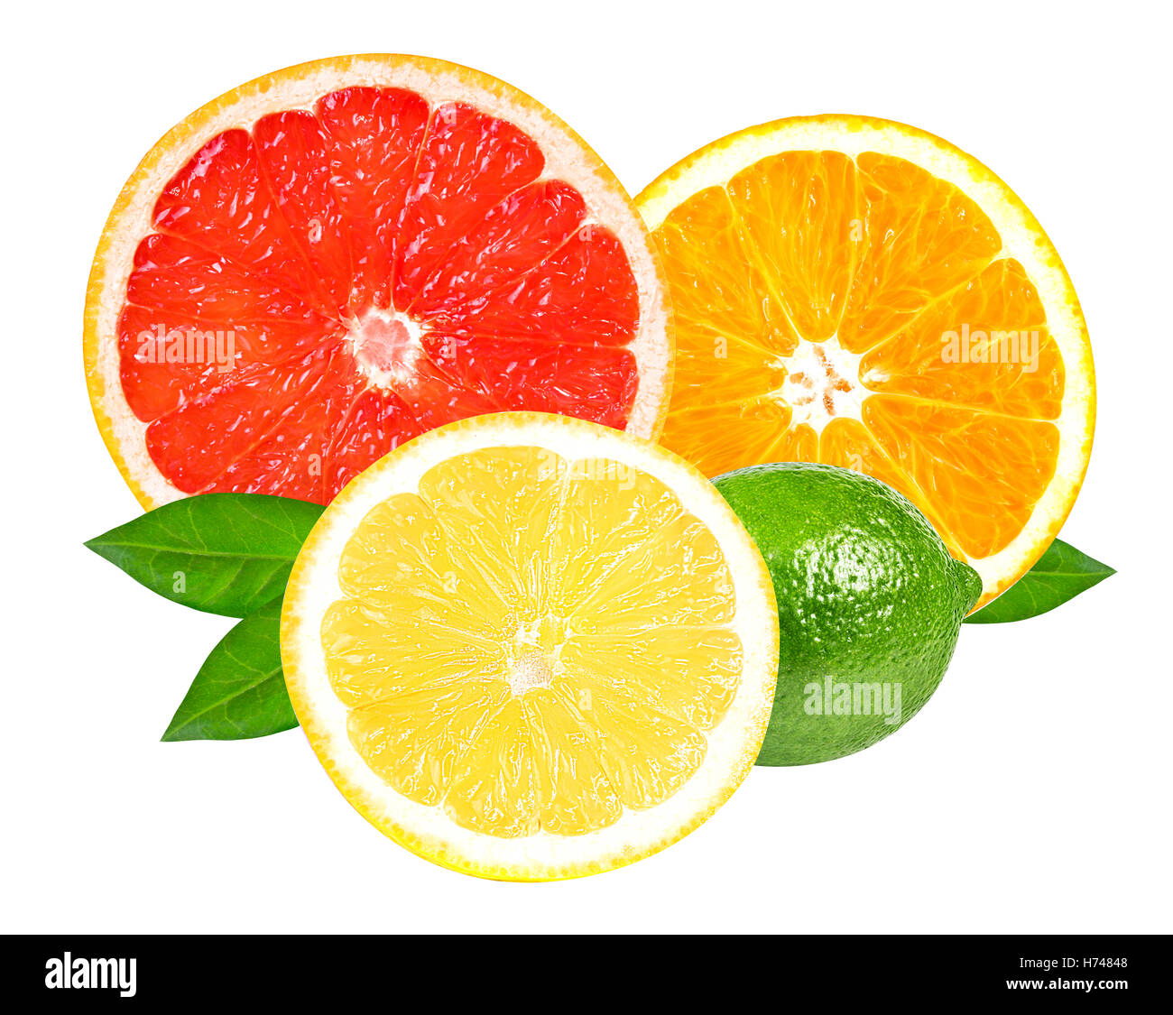 Citrus fruits (slices of lemon, orange, lime and grapefruit) isolated ...