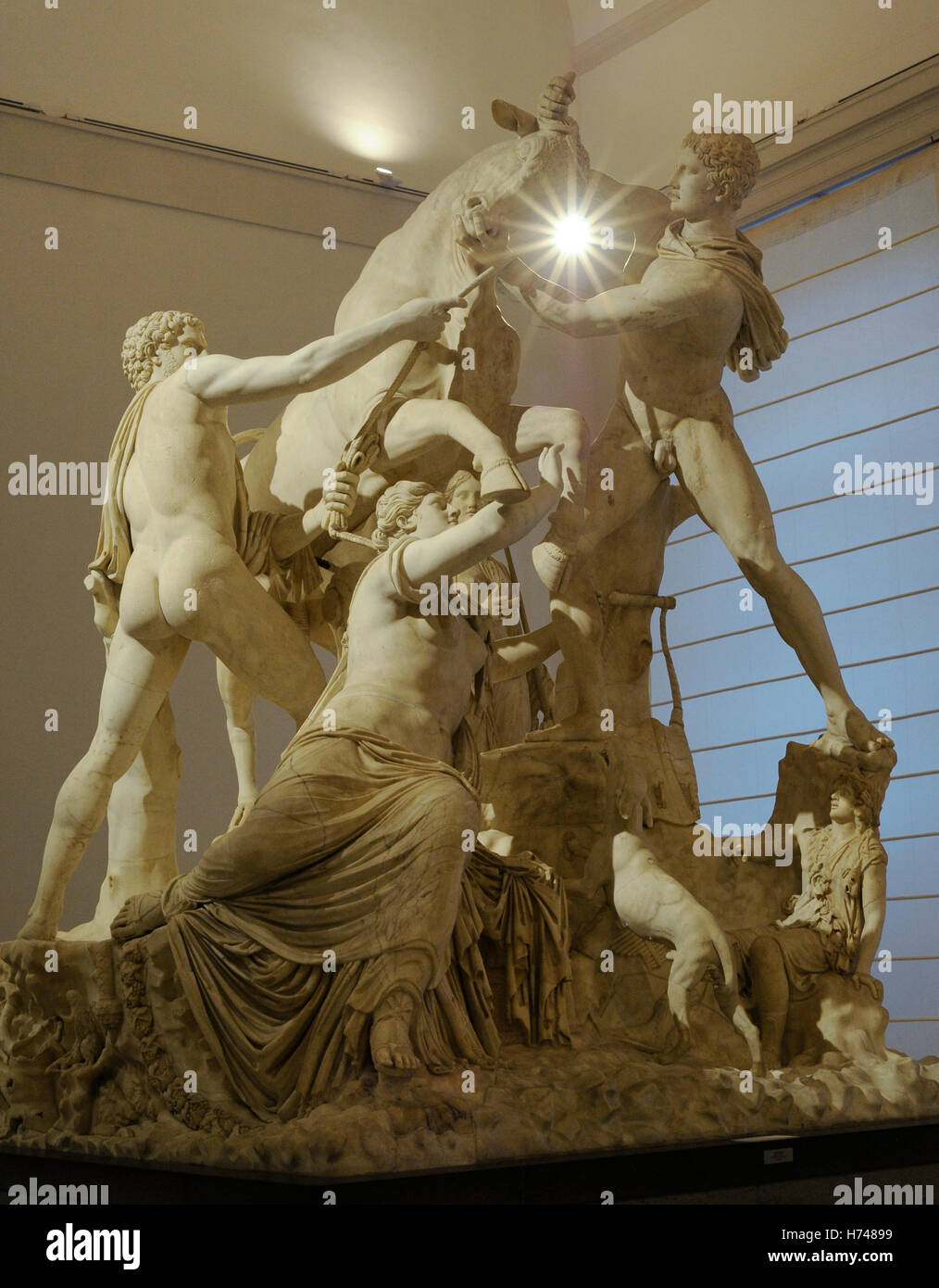 The Farnese Bull. Roman copy (3rd century AD) of a Hellenistic sculpture. Myth of Dirce. She was tied to a wild bull by the sons of Antiope, Amphion and Zethus. From baths of Caracalla, Rome. National Archaeological Museum, Naples. Italy. Stock Photo