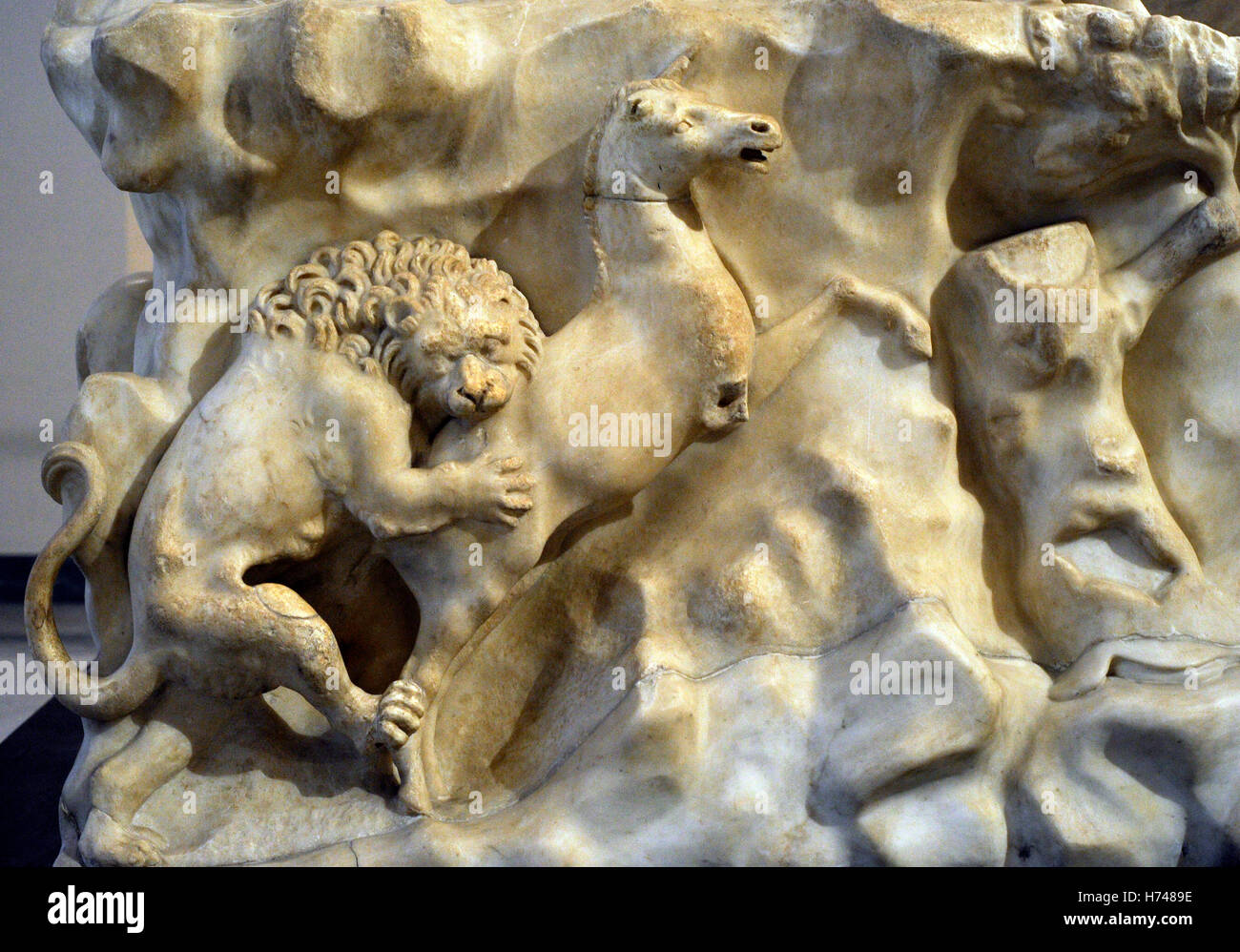The Farnese Bull. Roman copy (3rd century AD) of a Hellenistic sculpture. Myth of Dirce. Base. Relief. Hunting scene. From baths of Caracalla, Rome. National Archaeological Museum, Naples. Italy. Stock Photo