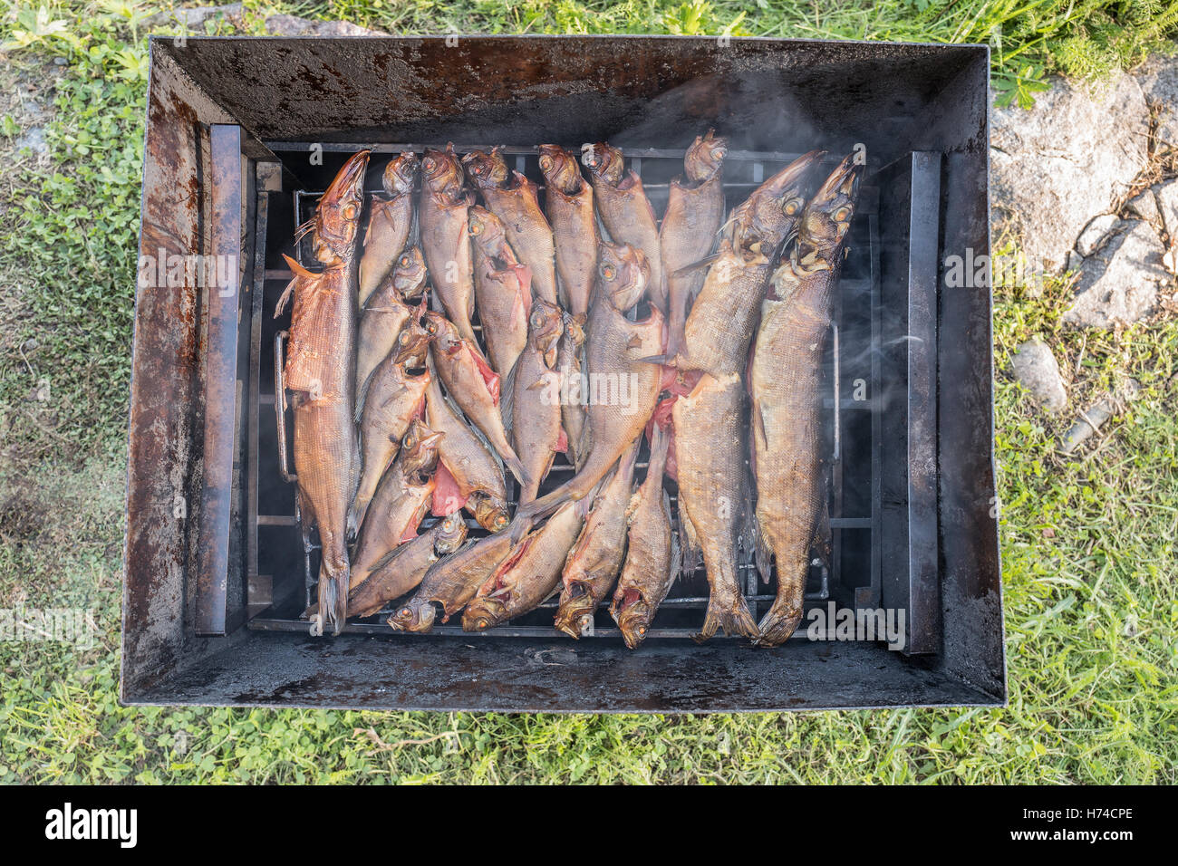 Still life of smoked fish Stock Photo Alamy