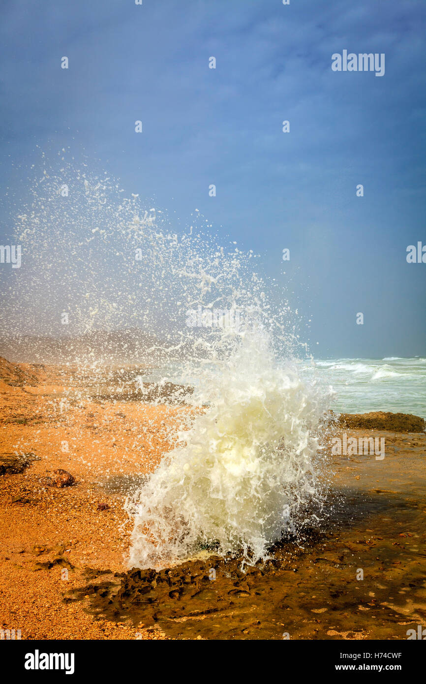 Blow hole at Al Mughsayl beach near Salalah, Oman Stock Photo