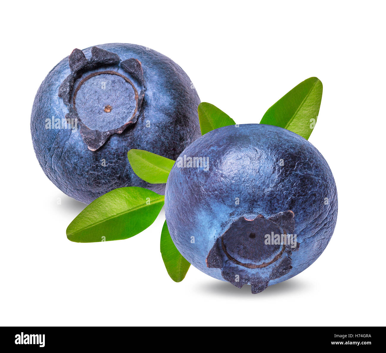 Fresh blueberries isolated on white, background Stock Photo