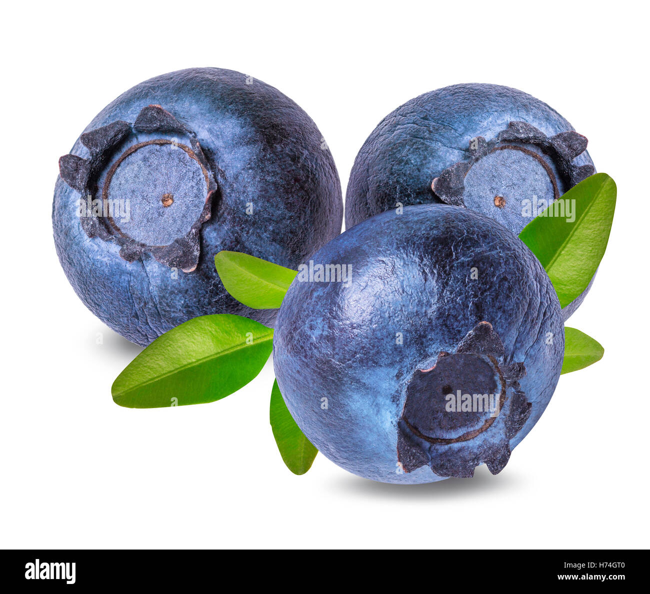 Fresh blueberries isolated on white, background Stock Photo