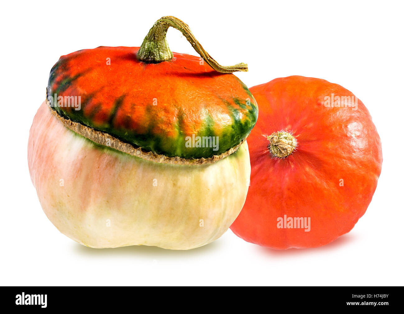 Pumpkins isolated on white background Stock Photo - Alamy