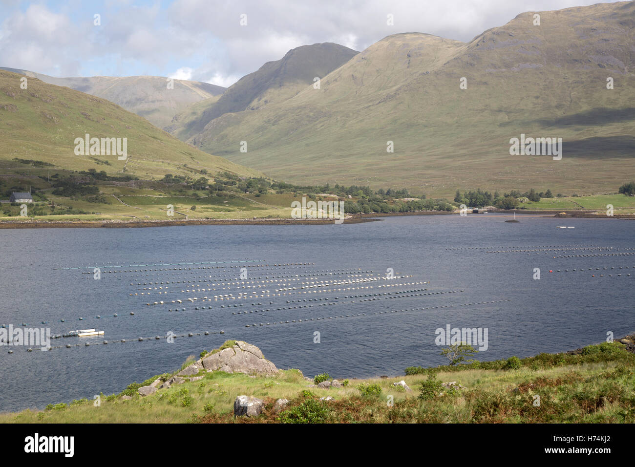 Killary Fjord Lake; Leenane, Connemara; Galway; Ireland Stock Photo - Alamy