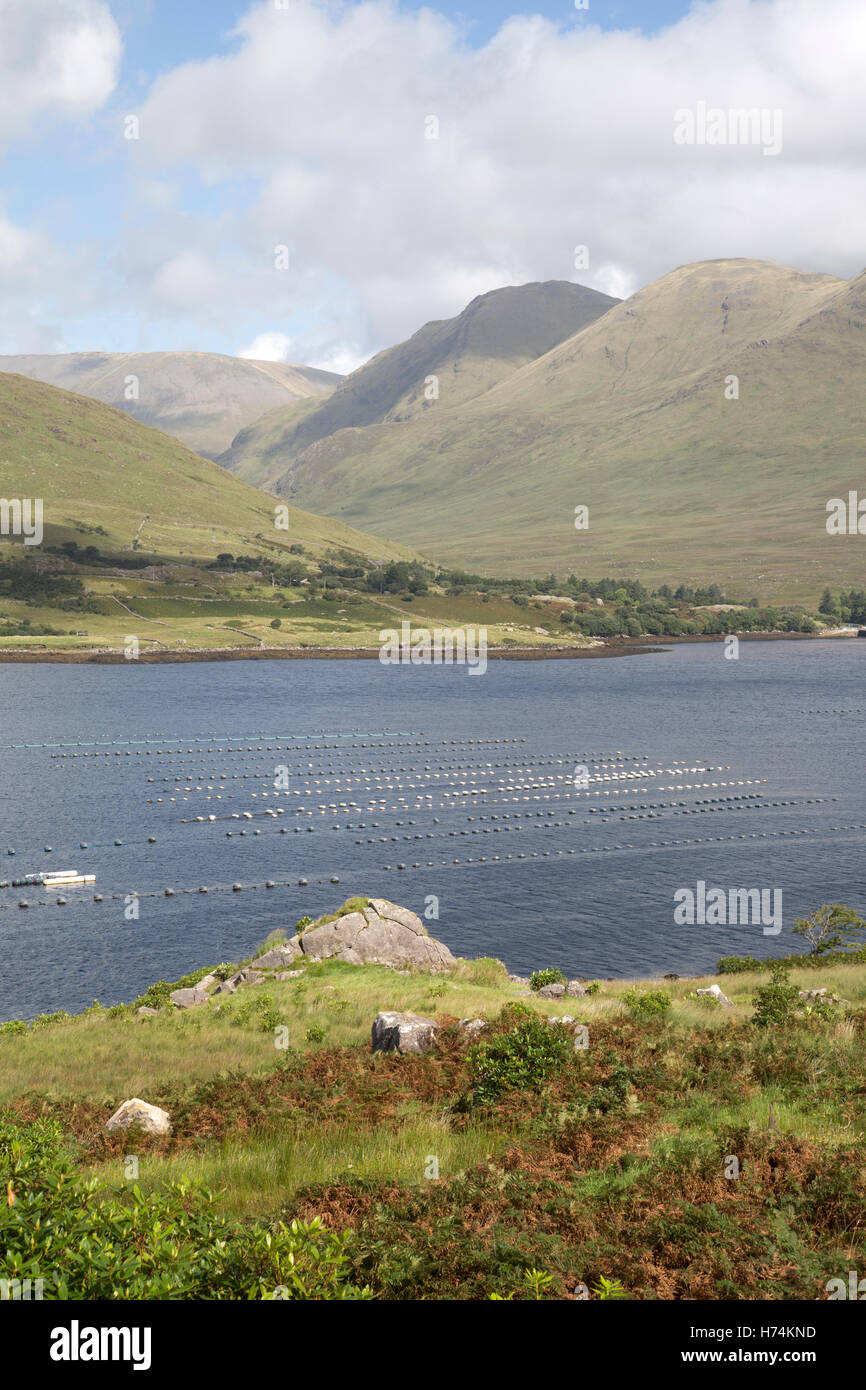 Killary Fjord Lake; Leenane, Connemara; Galway; Ireland Stock Photo - Alamy
