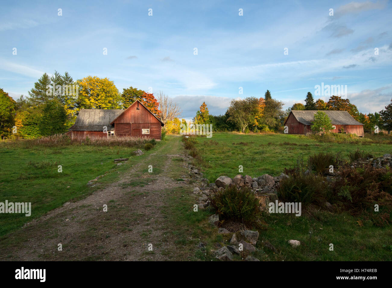 typical red wooden house in smaland near Ramkvilla south of sweden