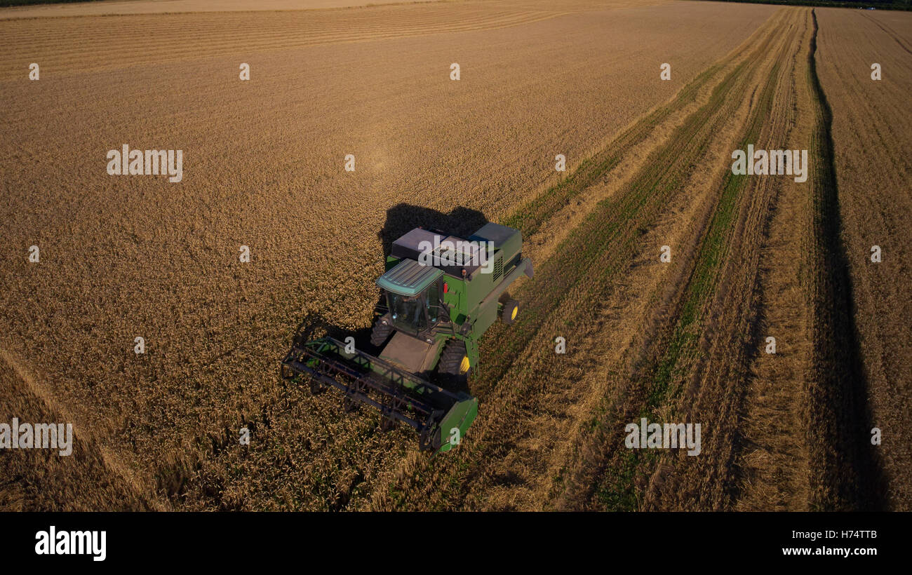 Aerial View Of Combine Harvester Working In Wheat Field Stock Photo