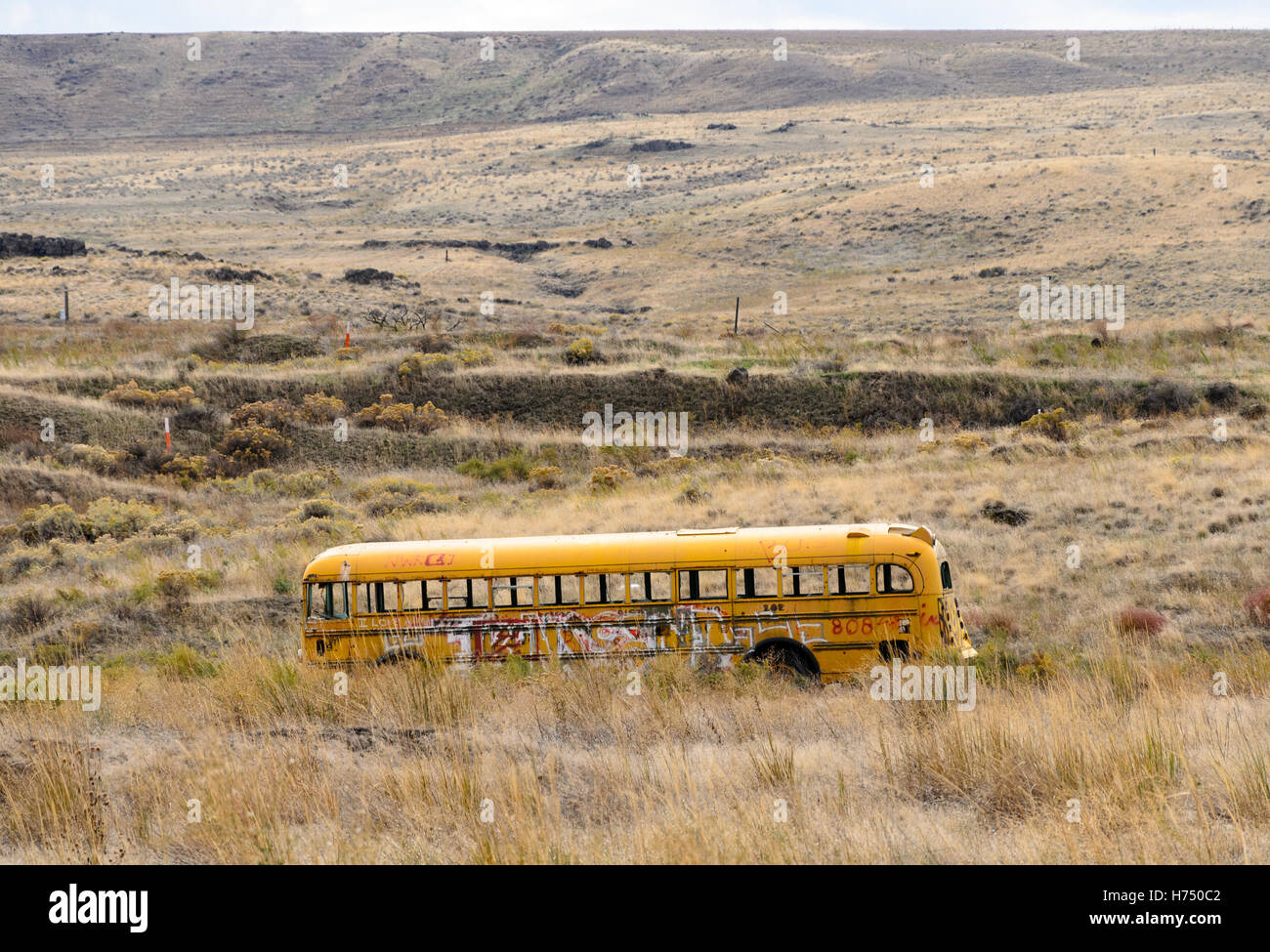 Abandoned Bus Stock Photo