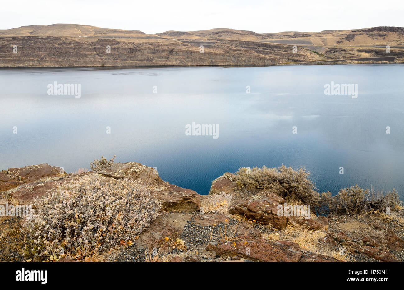 Ginkgo Petrified Forest State Park Stock Photo Alamy