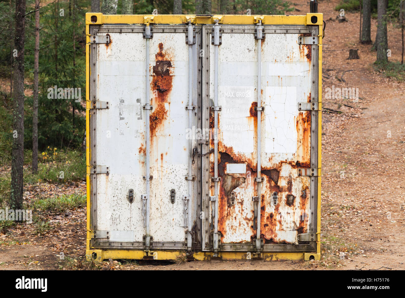 Abandoned old rusted standard cargo container stands in the forest, door face, selective focus