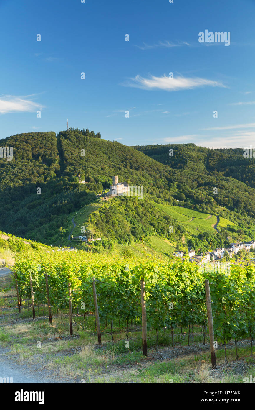 View of vineyards and Burg Landshut, Bernkastel-Kues, Rhineland-Palatinate, Germany Stock Photo
