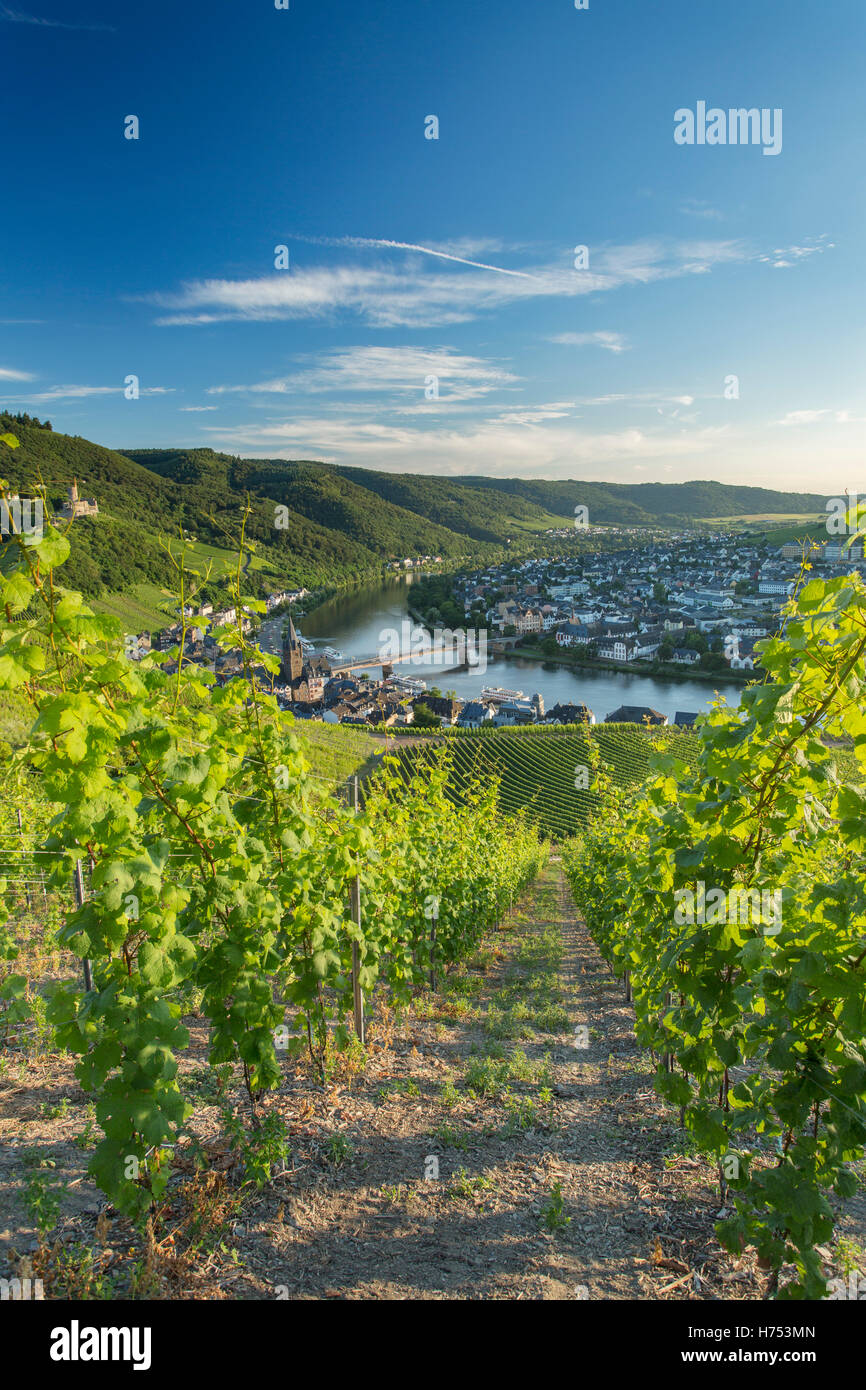 View of vineyards and River Moselle, Bernkastel-Kues, Rhineland-Palatinate, Germany Stock Photo