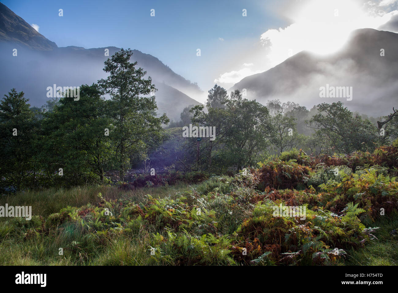 Autumn mist in Scottish Highlands Stock Photo