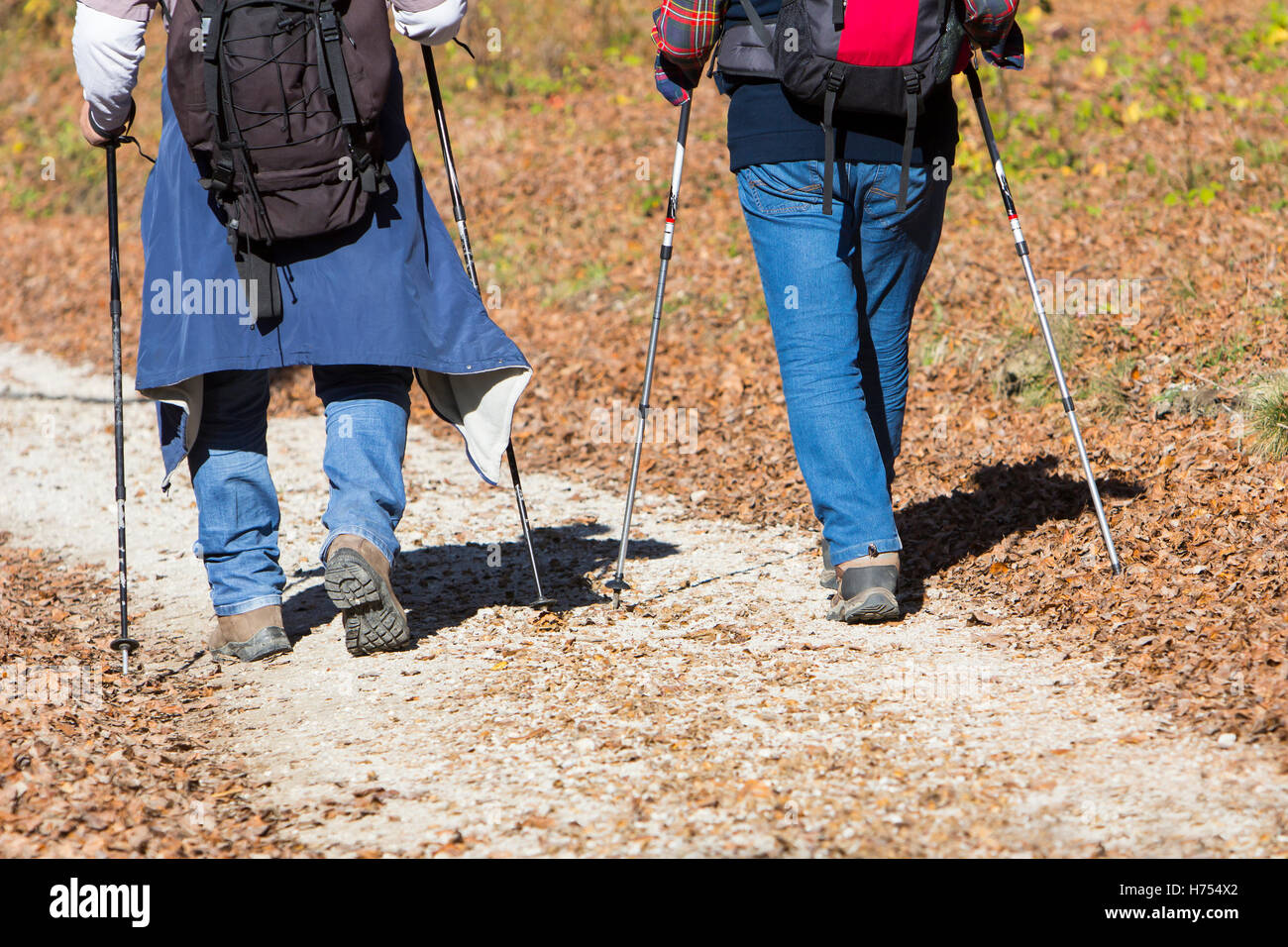 Two older men walking by hiking trail Stock Photo