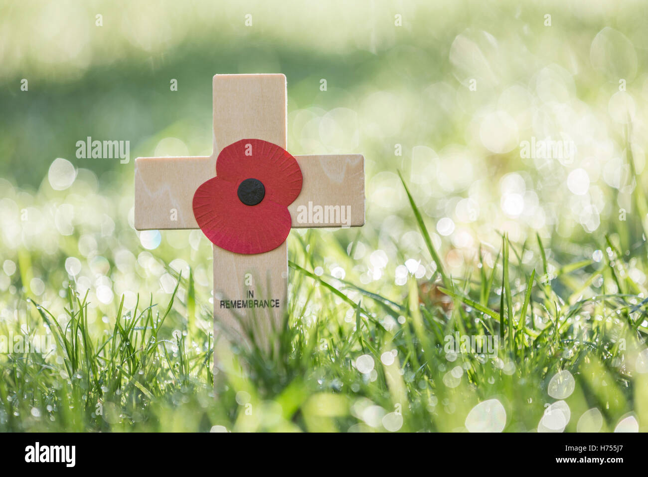 Small wooden cross of remembrance on a lawn. Stock Photo