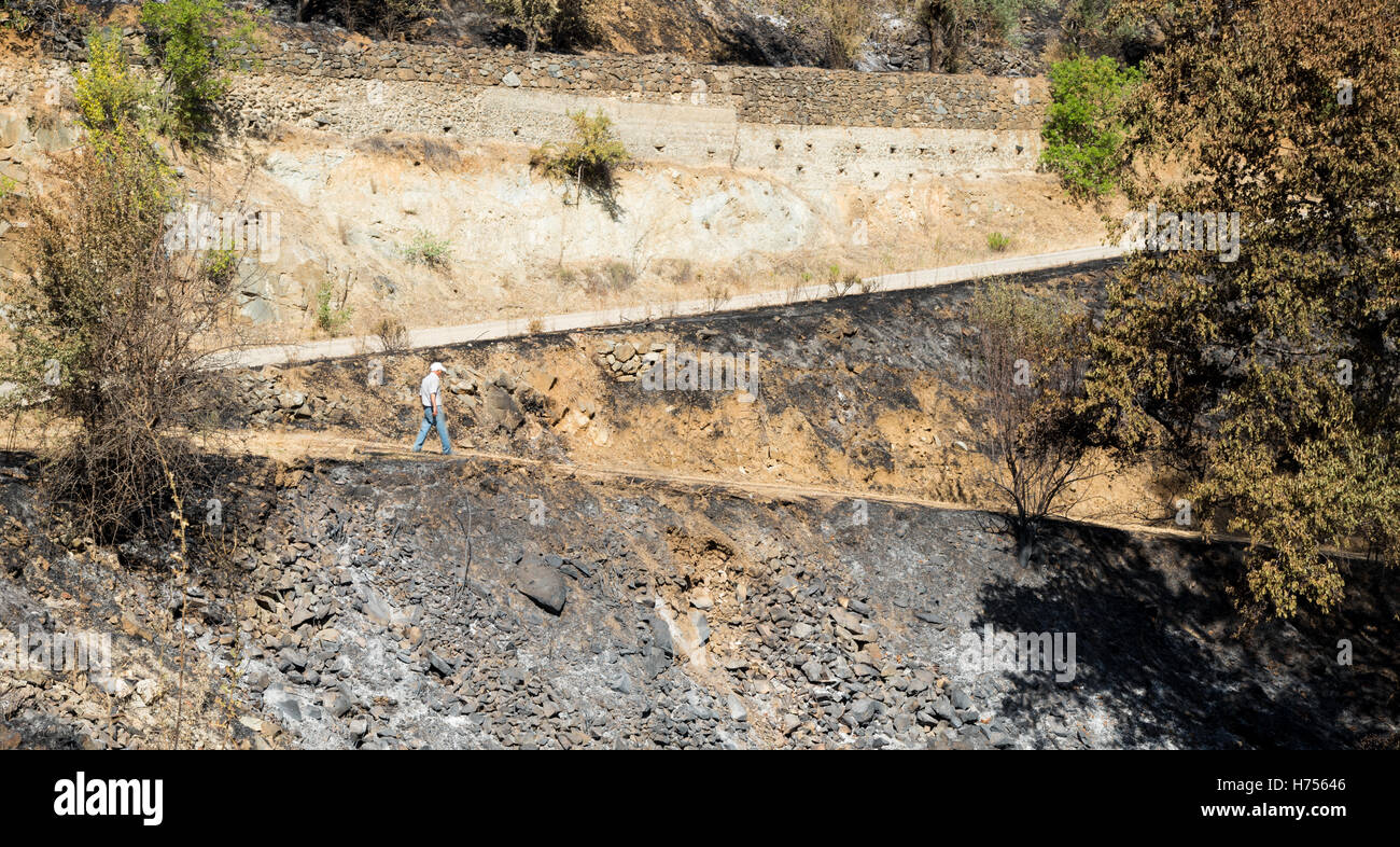 Senior adult walking in a footpath on  burned land after a big forest fire at Troodos mountains, Cyprus Stock Photo