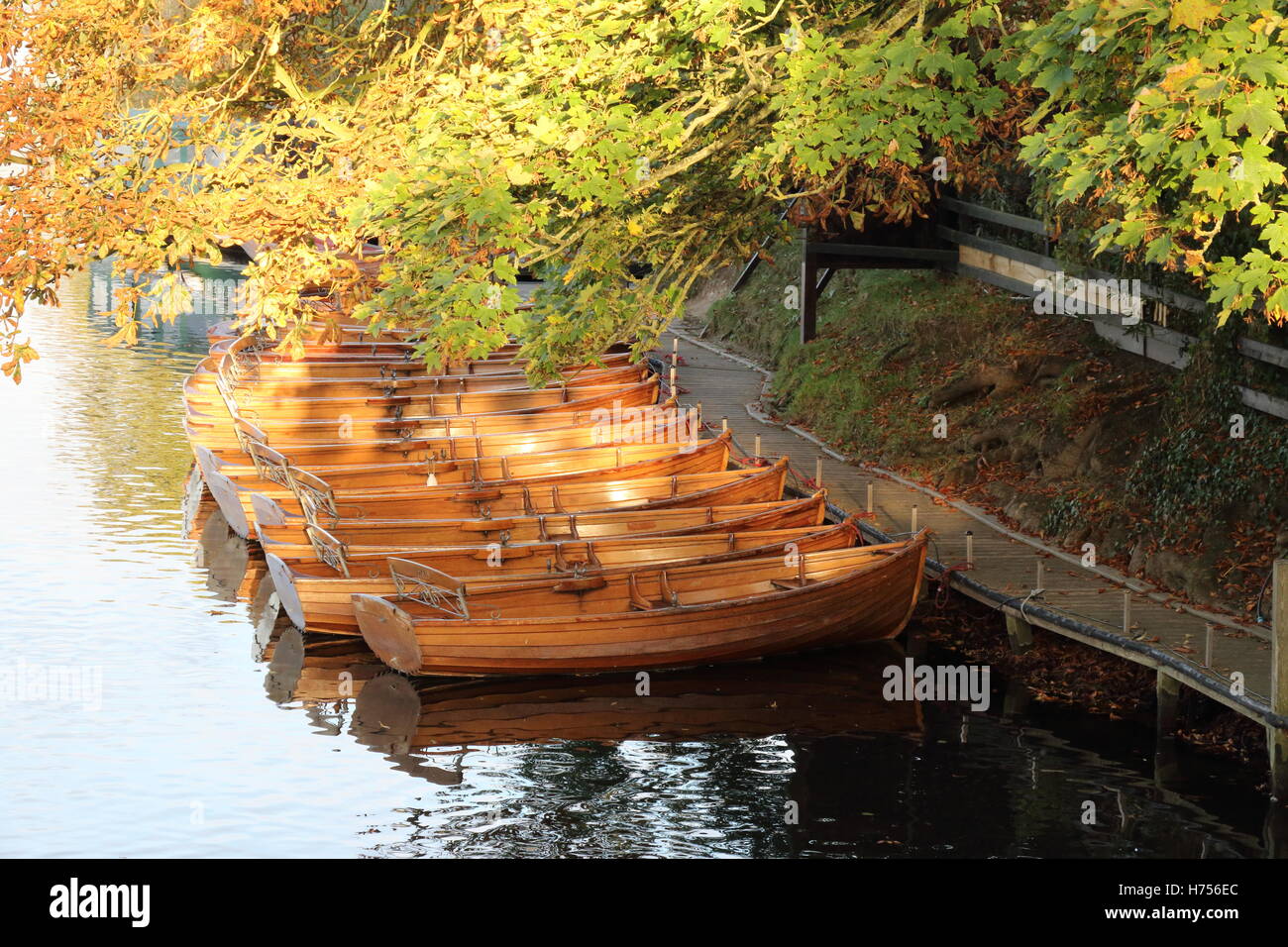 Rowing boats on the river at Dedham Stock Photo