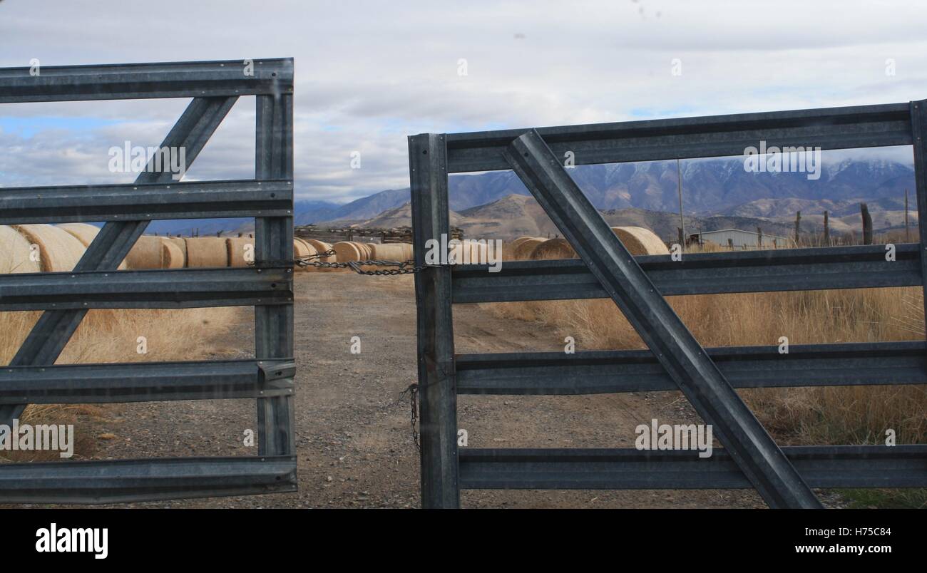 Metal Farm Gate High Resolution Stock Photography and Images - Alamy