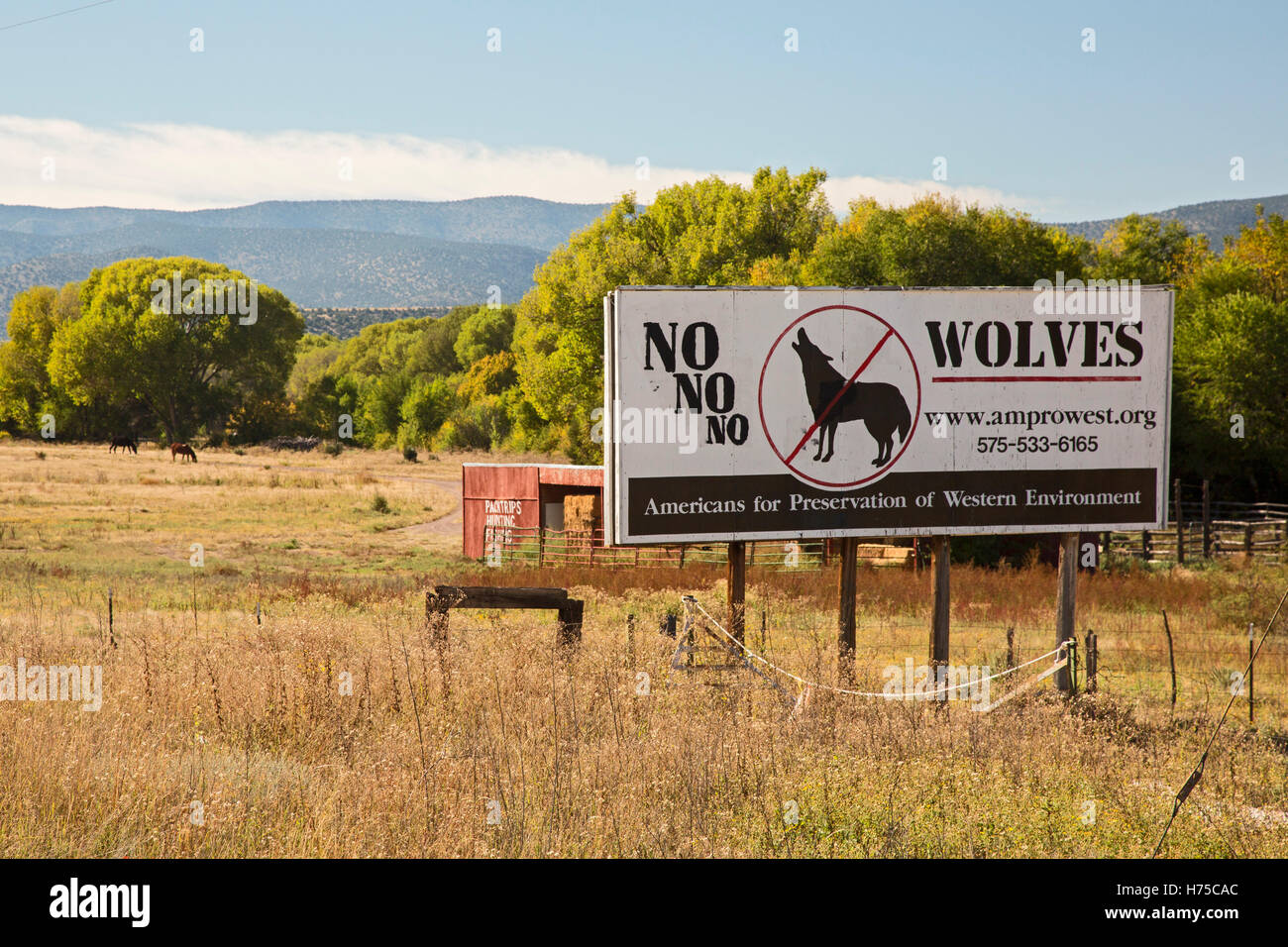 Alma, New Mexico - A sign in southwestern New Mexico opposes the reintroduction of the Mexican Gray Wolf. Stock Photo