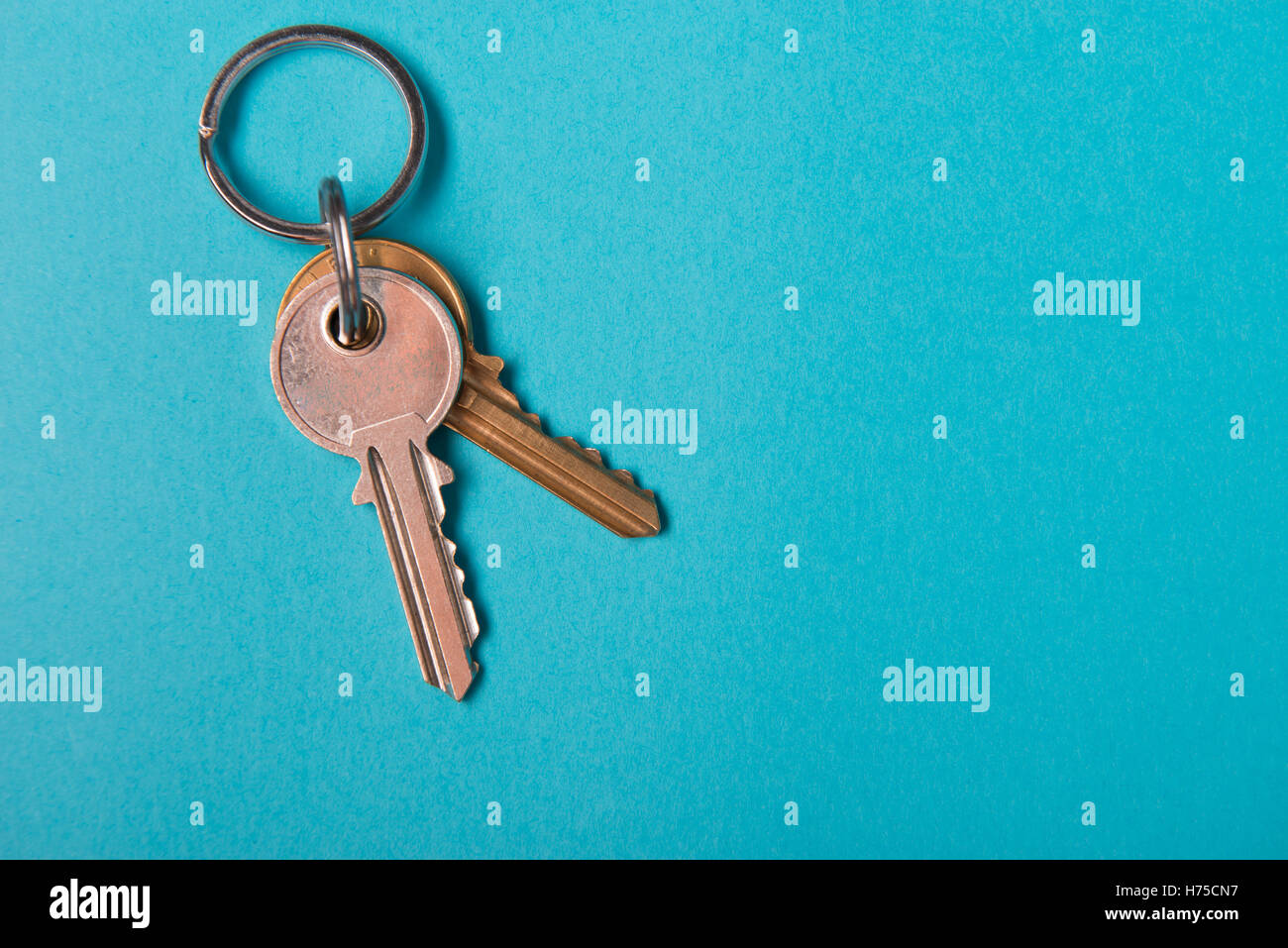 silver house key lying on blue paper background Stock Photo Alamy
