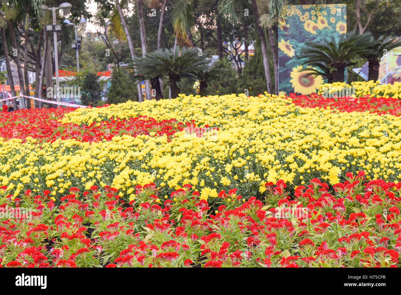 flower festival for Lunar new year decoration in Vietnam with many kind