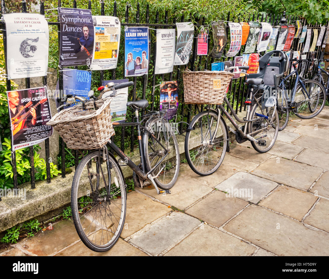 Cambridge bicycles leaning against a fence covered in posters, England, UK Stock Photo