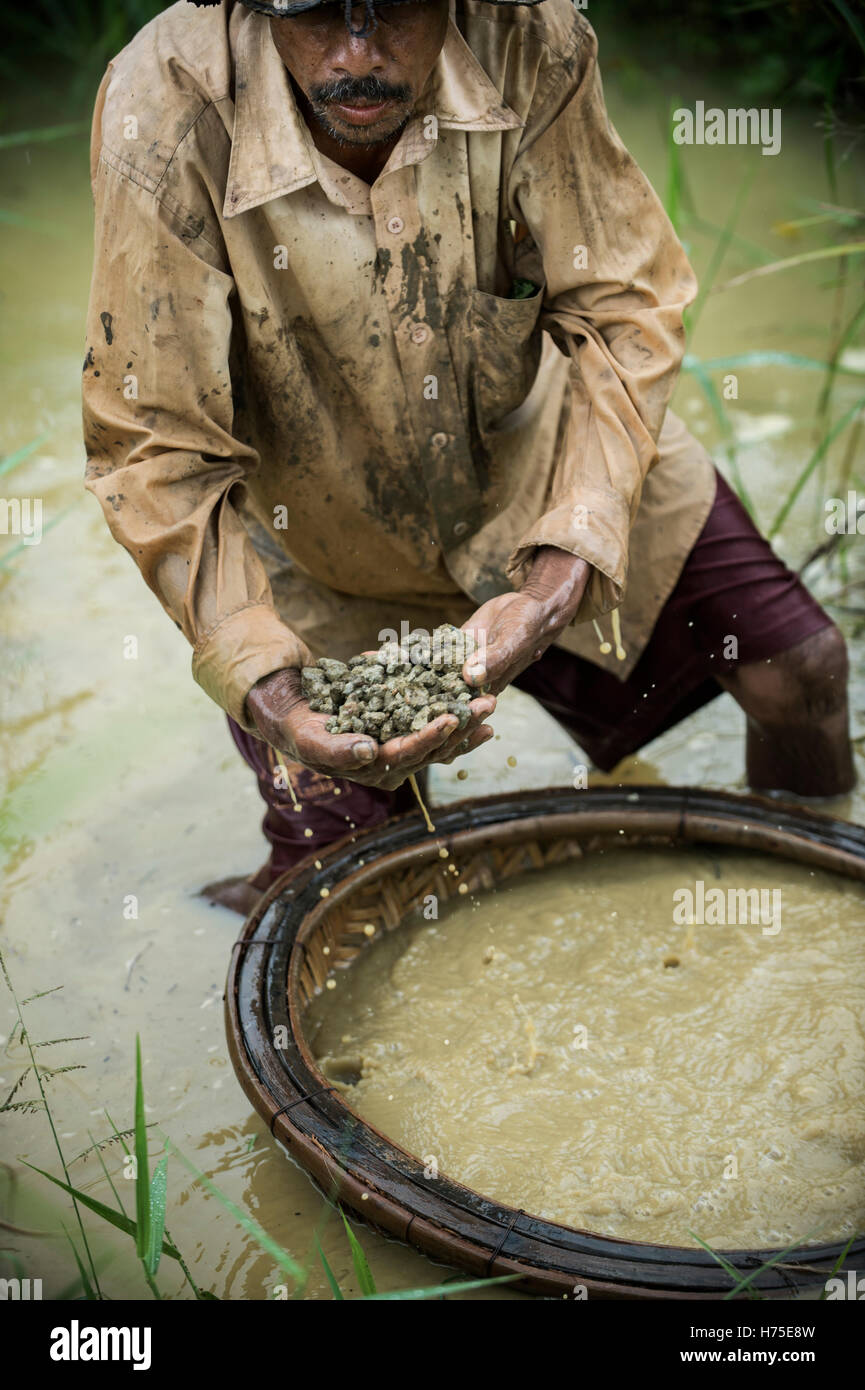 Gem Mining, Sri Lanka Stock Photo Alamy