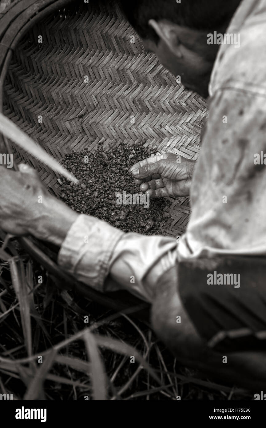 Gem Mining, Sri Lanka Stock Photo - Alamy