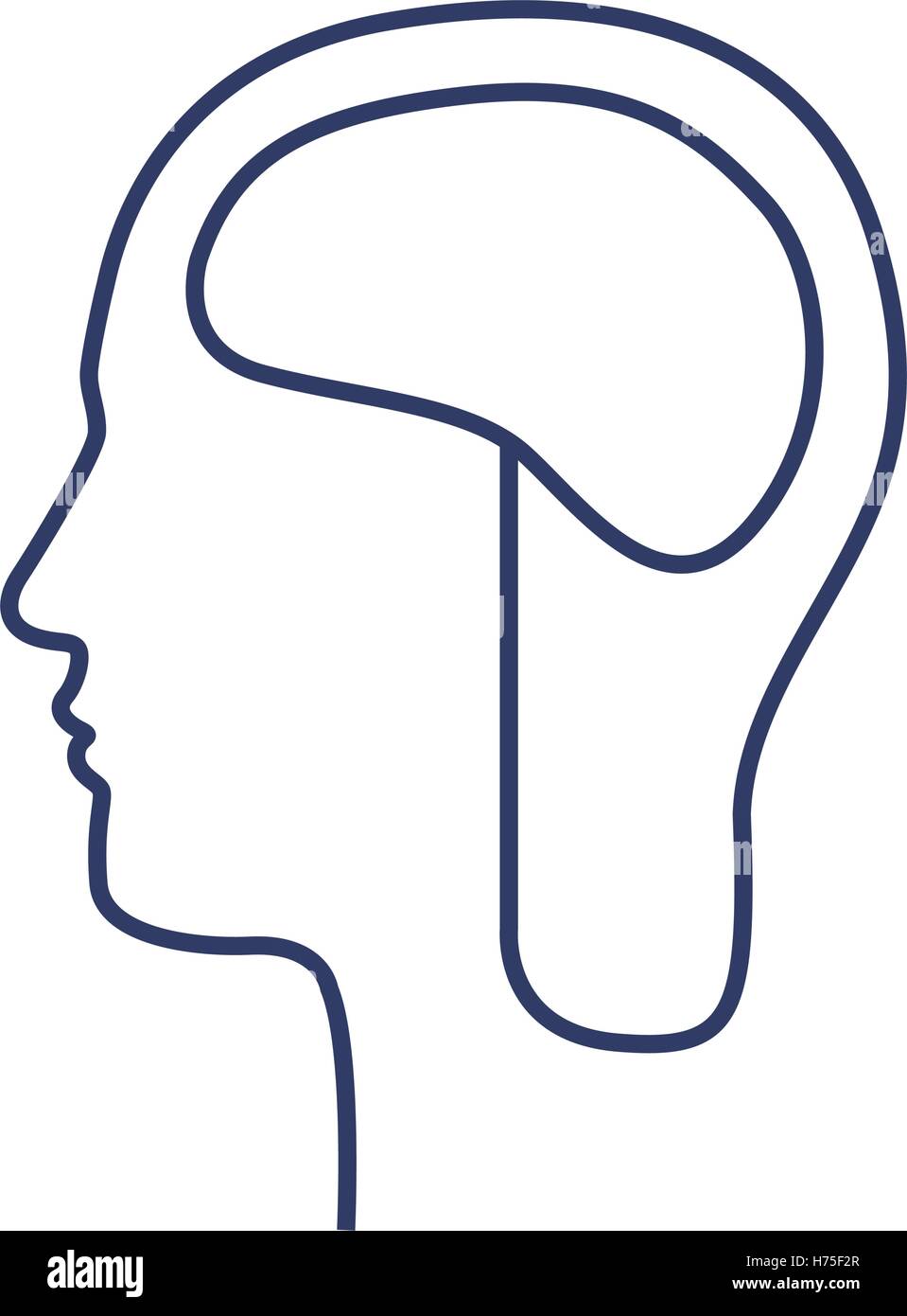 silhouette side head with brain vector illustration Stock Vector Image ...