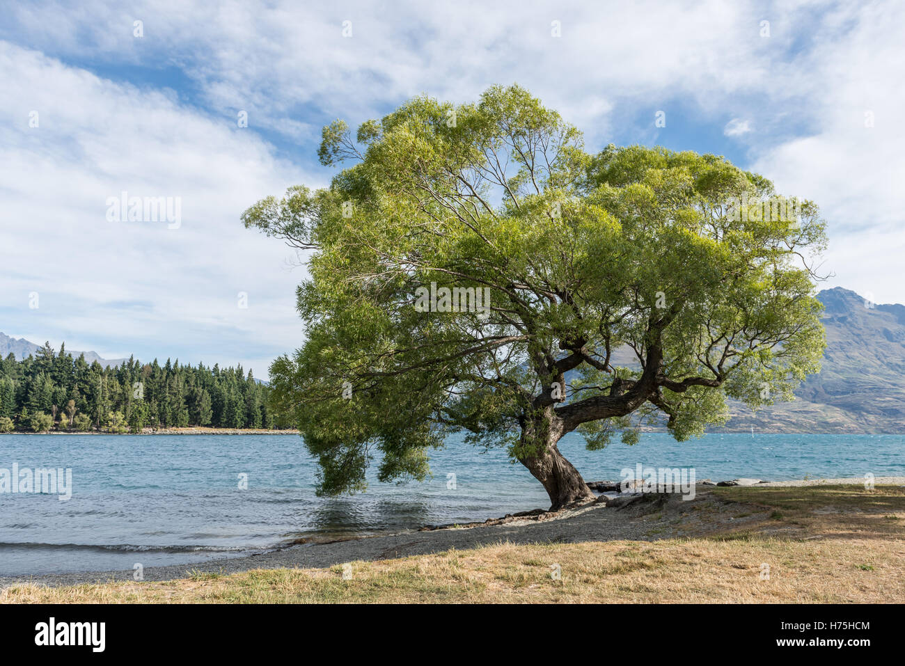 Lake Wakatipu, Queenstown, New Zealand's South Island Stock Photo - Alamy