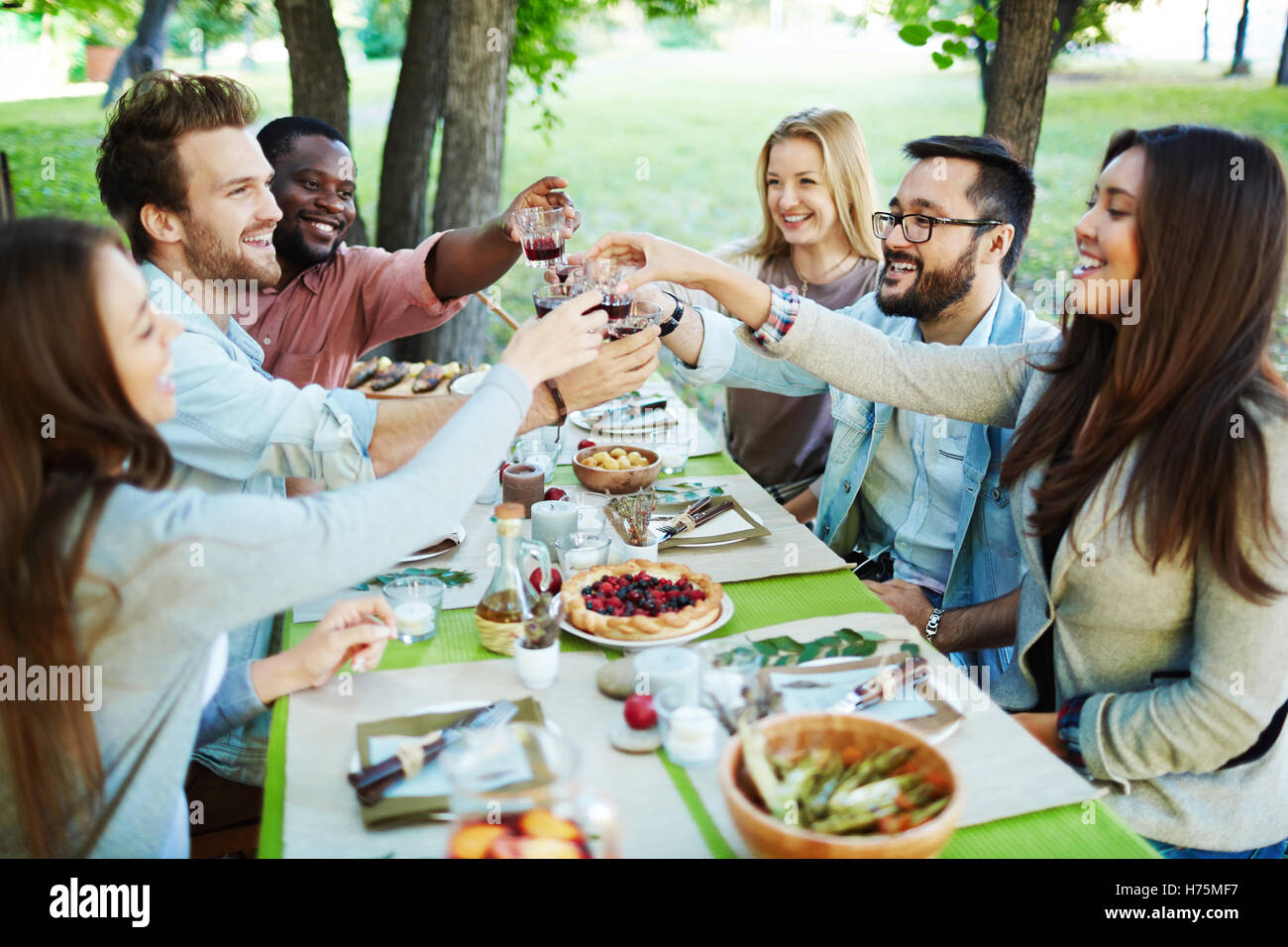 Toasting by festive dinner Stock Photo - Alamy