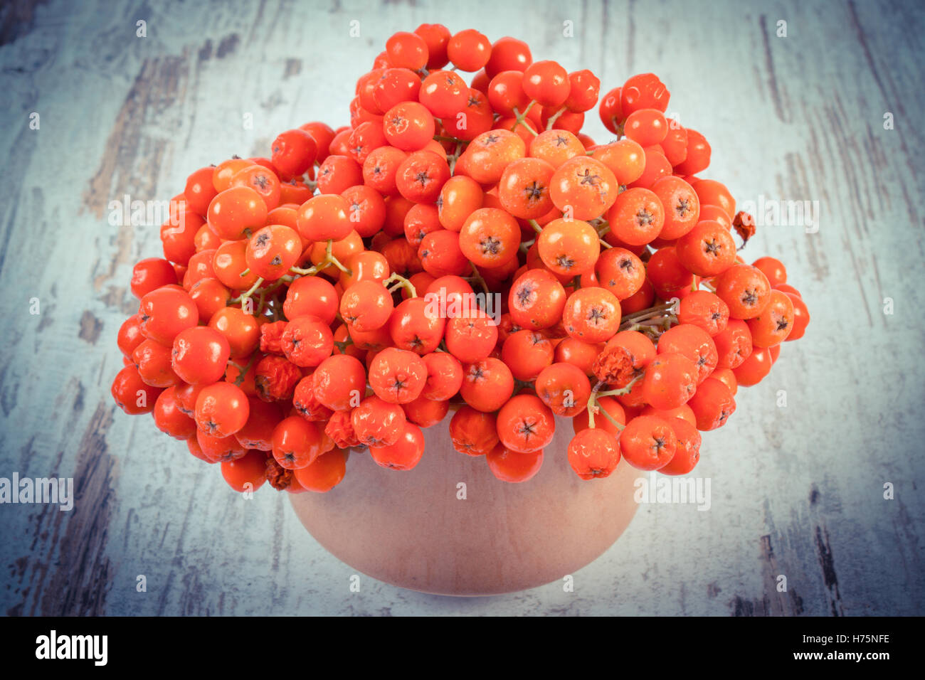 Vintage photo, Bunch of red autumn rowan in glass dish on old rustic ...