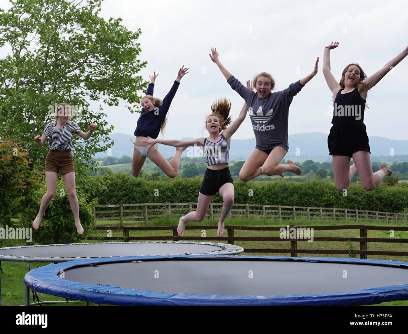 Five teenage girls jumping on garden trampolines Stock Photo - Alamy