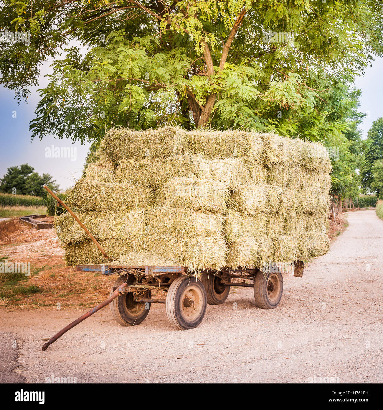 Farm cart with hay bales stacked left on the road Stock Photo Alamy