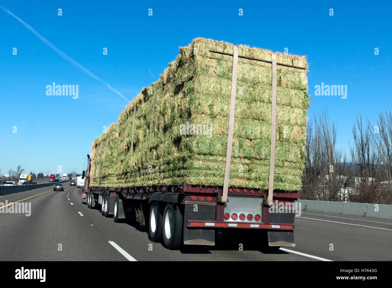 Double trailer semi hauling hay freight under blue sky Stock Photo - Alamy