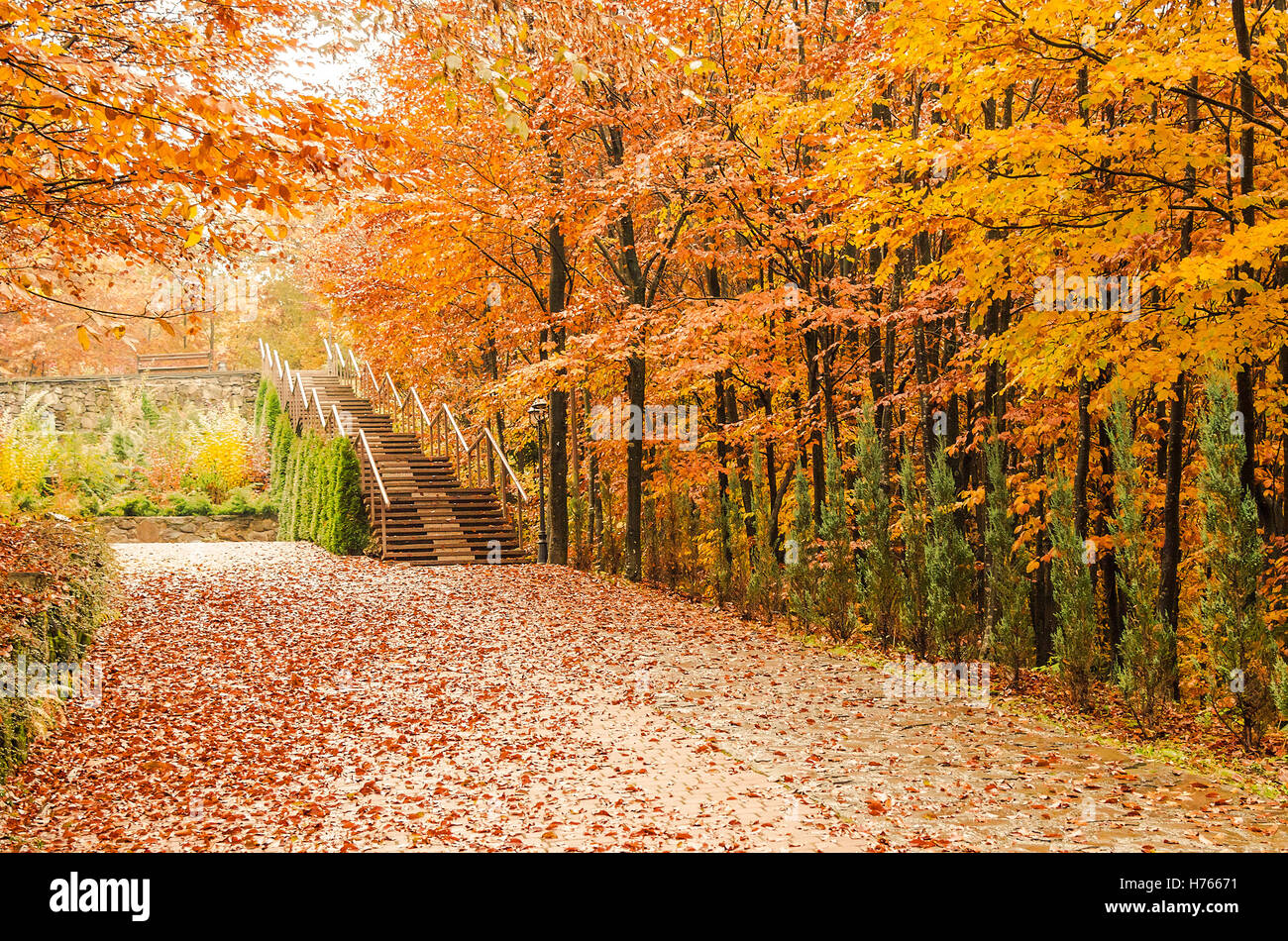 Autumn in the park Stock Photo - Alamy