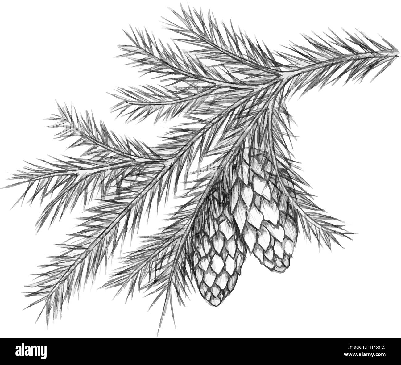 Realistic vintage engraving wreath of fir branches and pine cones, beads isolated on white background. Christmas, New Year design elements. Stock Vector
