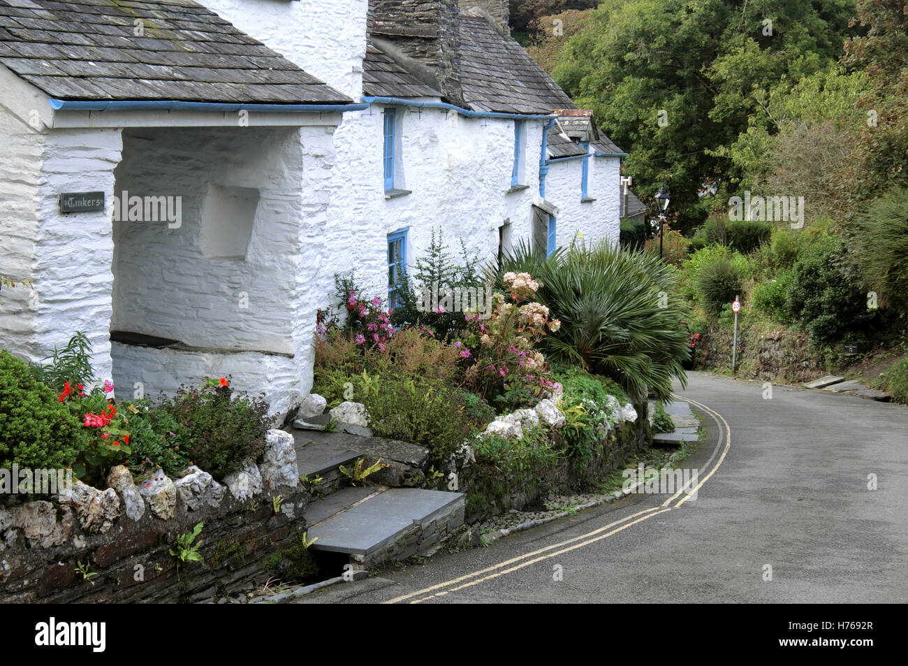 Row of Pretty White Washed Cottages, Boscastle Village, North Cornwall, England, UK Stock Photo