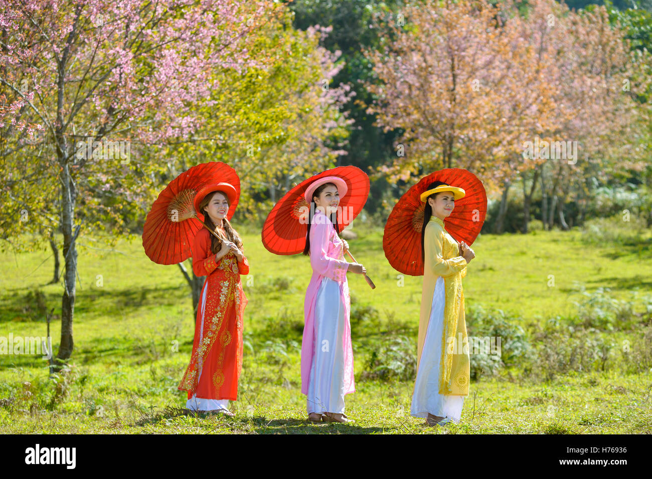 Three women in blossom orchard wearing  traditional japanese kimonos Stock Photo