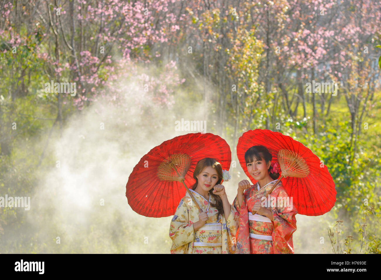 Two women with parasols wearing traditional japanese kimono Stock Photo
