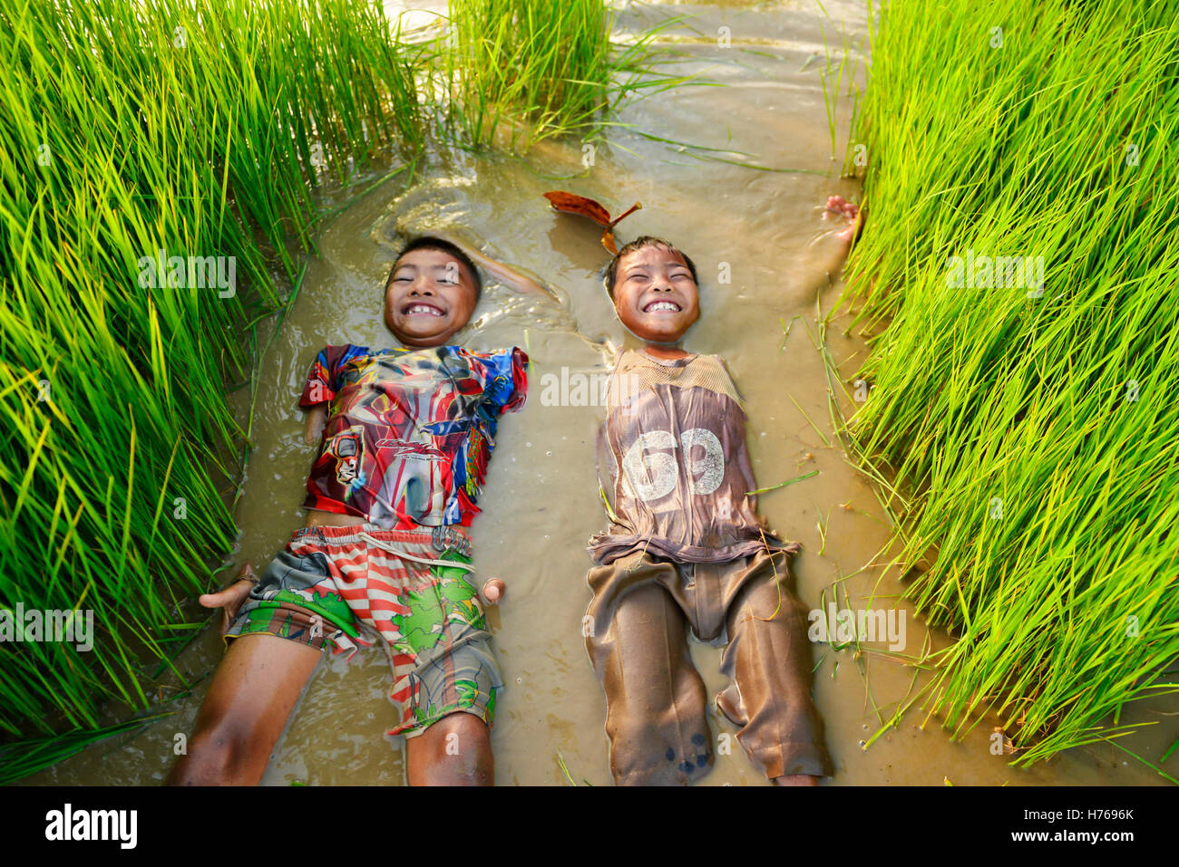 Two boys lying in water in a paddy field, Thailand Stock Photo