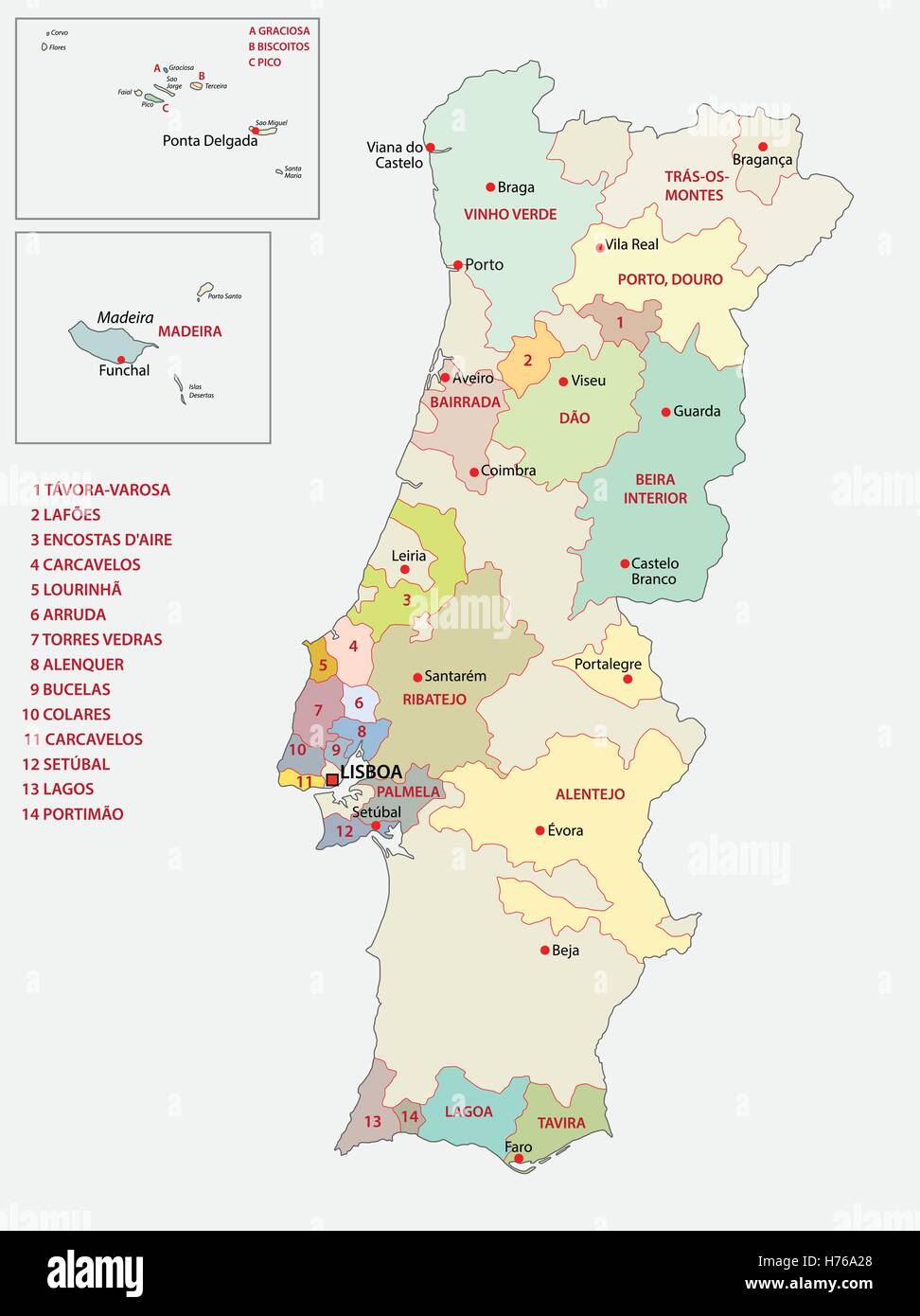Administrative map of the five regions portugal Vector Image
