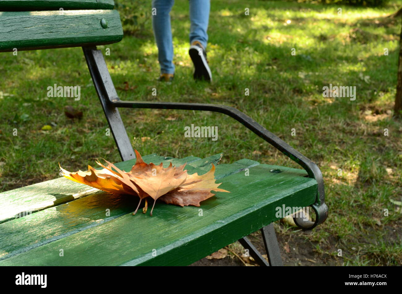 Man walking away from bench with autumn leaves on it Stock Photo